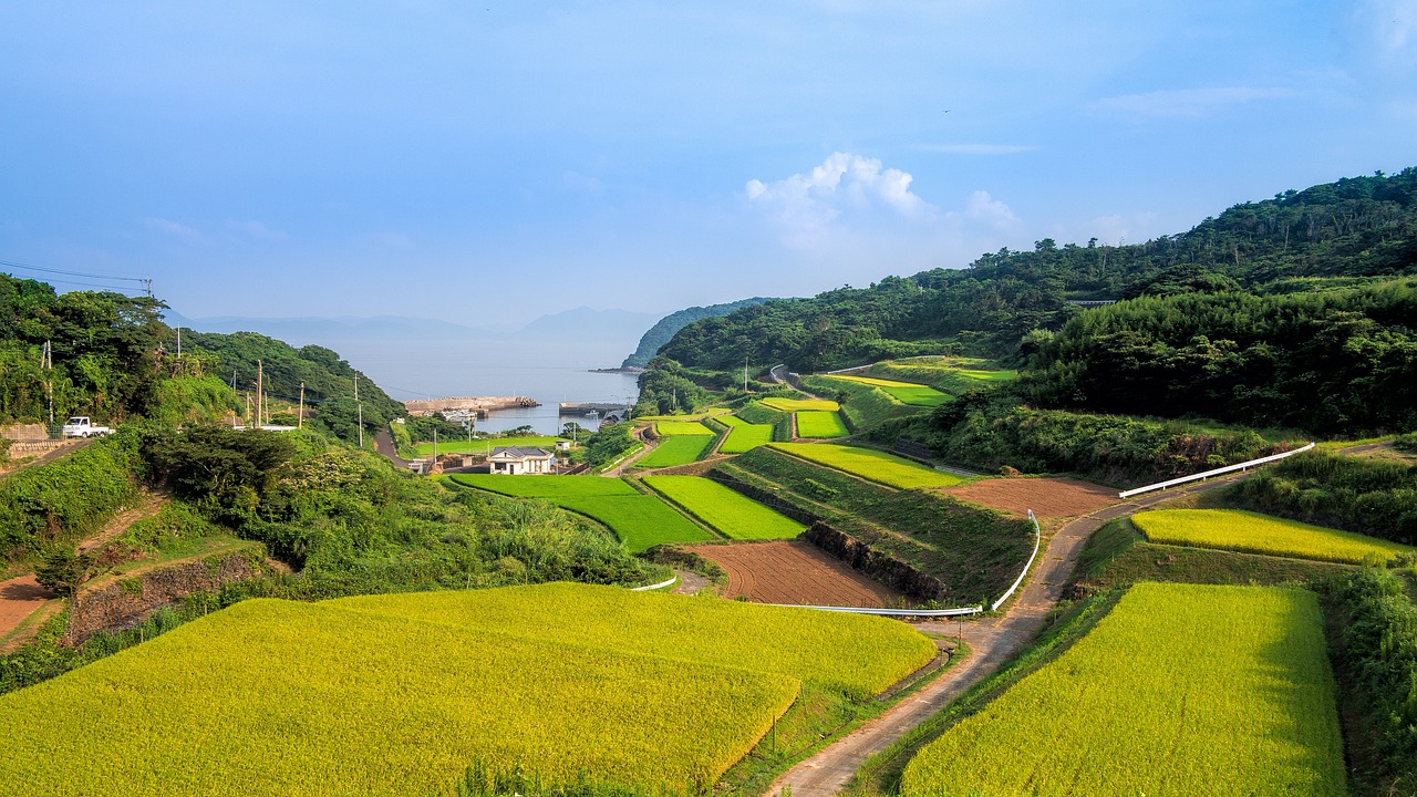 广东省饶平试点村名单及其发展概况